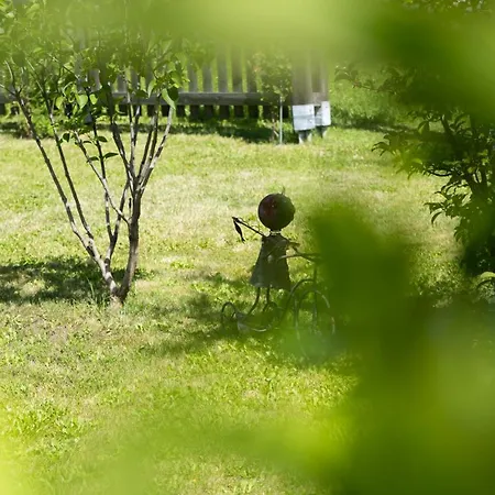 Apartment Haus Mandl *